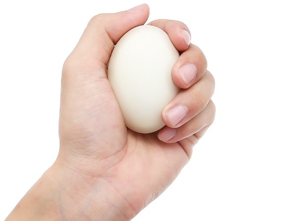 Trứng vịt thả đồng 10 quả - Ảnh 2